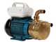 Tellarini EEM 25 MS - Brass electric transfer pump - Single-phase - 230V