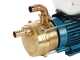 Tellarini EEM 25 MS - Brass electric transfer pump - Single-phase - 230V