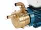Tellarini EEM 25 MS - Brass Electric Transfer Pump