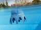 Gre Poolp'o 0 - 10m&sup3; - 250g Pool Treatment