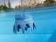 Gre Poolp'o pool treatment 10 - 20m&sup3; - 500g