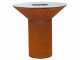 Top Line Icon 100 - Corten wood-fired barbecue