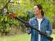 Bosch AdvancedPrune 18V-45 - Electric Pruning Shear on Pole - 18V - 2Ah
