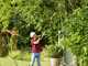 Bosch AdvancedPrune 18V-45 - Electric Pruning Shear on Pole - 18V - 2Ah
