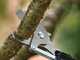 Bosch AdvancedPrune 18V-45 - Electric Pruning Shear on Pole - 18V - 2Ah