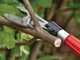 Bosch AdvancedPrune 18V-45 - Electric Pruning Shear on Pole - 18V - 2Ah