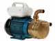 Tellarini EEM 25 - Electric brass transfer pump - Single-phase - 230V