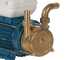 Tellarini EEM 20 - brass transfer pump - Single-phase - 230V