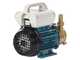 Tellarini EEM 20 - brass transfer pump - Single-phase - 230V