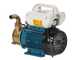 Tellarini EEM 20 - brass transfer pump - Single-phase - 230V