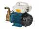 Tellarini EEM 20 - brass transfer pump