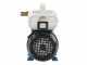Tellarini EEM 20 - brass transfer pump