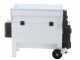 GRIFO DVEP20 - Electric Grape Destemmer with Hopper - with Included Guards