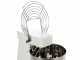 Mixer 5000 H2O - High hydration spiral mixer - Capacity 40 kg - Three-phase