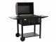 Mille Teseo - Handcrafterd Iron Coal Barbecue - 60x43cm