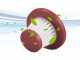 Beper P202ASP401 - Rechargeable Crumb vacuum - 7.4 V 2 Ah