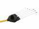 Oliviero Flex BCF Domestic Cordless - Olive Harvester with Lithium Battery - Aluminium Pole - 250cm - 14.4V 7.5Ah
