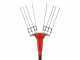 GeoTech Picker 550 EVO - Electric Battery-powered Olive Harvester - 180W - 230-310 cm Pole