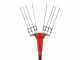 GeoTech Picker 550 TURBO -  Electric Battery-powered Olive Harvester - 500W - 230-310 cm Pole