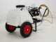 Comet APS 41 Sprayer Pump - Honda GX 160 and 120L Tank Trolley Kit 