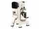 Prismafood iLine MZPL010 - Planetary Mixer - 10 L Stainless Steel Tank