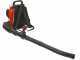 Dal Degan Monsone DK201 - Professional petrol backpack blower