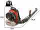 Dal Degan Monsone DK201 - Professional petrol backpack blower