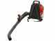 Dal Degan Monsone DK201 - Professional petrol backpack blower