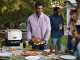 Ninja Woodfire OO101EU - Electric Outdoor Oven for Pizza and Roasts