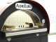 AgriEuro Premium Line Cibus Red - Forno a legna per pizza da esterno 60x60 - 2 pizze