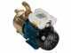 Tellarini EEM 30 - Brass Electric Transfer Pump