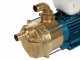 Tellarini EEM 30 - Brass Electric Transfer Pump