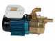 Tellarini EEM 40 - Brass Electric Transfer Pump