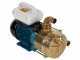 Tellarini EEM 40 - Brass Electric Transfer Pump
