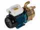 Tellarini EEM 40 - Brass Electric Transfer Pump