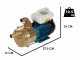 Tellarini EEM 40 - Brass Electric Transfer Pump