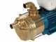 Tellarini EEM 40 - Brass Electric Transfer Pump