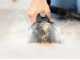 Bissell SpotClean HydroSteam Select - Carpet Cleaner - Upholstery - 1000W