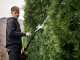 Blue Bird PHT 23-54 - Battery hedge trimmer on extension pole - 50.4V/5Ah