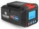 Blue Bird battery 50.4V - 5 Ah with display