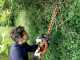 Black &amp; Decker GTC18452PCB-XJ - Cordless hedge trimmer - WITHOUT BATTERY AND BATTERY CHARGER