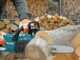Makita XGT UC021GZ - 40V Battery-powered electric saw - 30cm cut - WITHOUT BATTERY AND CHARGER