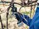 Campagnola NOVA 40 - Battery-powered Electric Pruning Shear - Without Battery and Charger