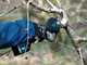 Campagnola NOVA 40 - Electric Battery-powered Shear - 21.6V 5Ah