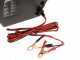Ribimex PE12V - Battery-operated electric winch 12V - With remote control