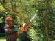 Black &amp; Decker BECS2040-QS - 2000 W Electric Chainsaw - 40 cm Blade
