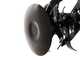 Italian Power RG 3.6-75Q-Z - Petrol-driven rotary tiller 7 HP - Rato R210 engine