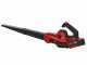 Einhell GE-UB 18/250 Li E - Cordless Blower - 18V/4.0Ah