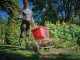 Einhell GE-SR 18/22 Li - Multi-purpose Battery-powered Compost Spreader - WITHOUT BATTERY AND CHARGER