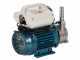 Tellarini ALM 20-SR - Electric stainless steel oil transfer pump - Straight + curved stainless steel fittings